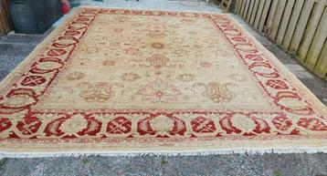 Origineel Handgeknoopt Zigler XXL 465  365 Cm beschikbaar voor biedingen