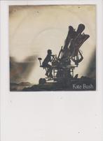 kate bush, Ophalen of Verzenden, Gebruikt, Pop