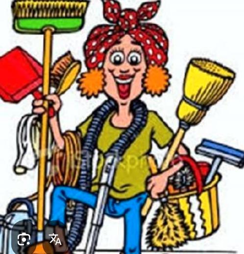 Gezocht hulp in de huishouding, Vacatures, Vacatures | Schoonmaak en Facilitaire diensten, Overige niveaus, Overige vormen