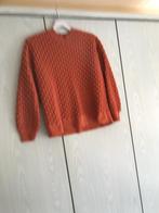 Trui maat XXL, Kleding | Dames, Truien en Vesten, Pescara, Ophalen of Verzenden, Gedragen, Maat 46/48 (XL) of groter