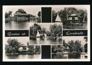 Loosdrecht - meerluik [KRST009-1988 beschikbaar voor biedingen