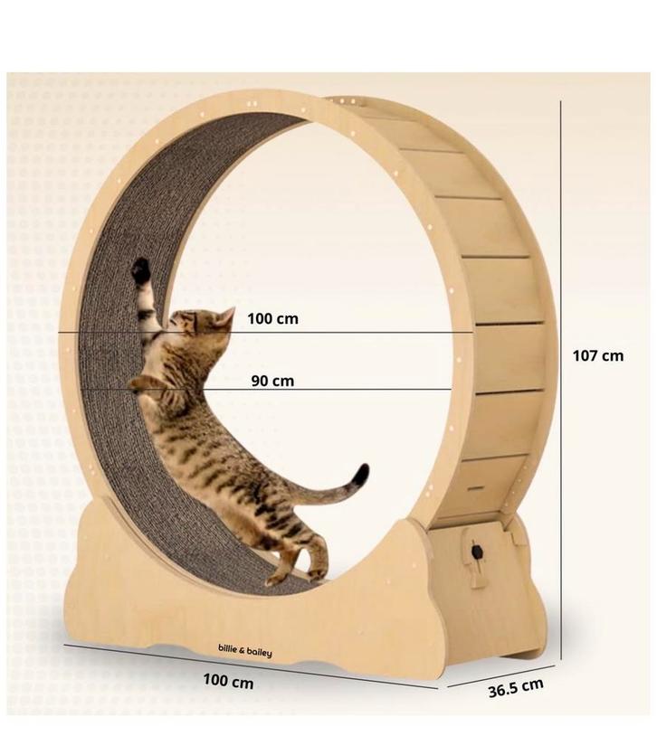 billie & bailey Katten Loopwiel, Dieren en Toebehoren, Kattenspeelgoed, Nieuw, Ophalen