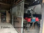 Paardenboxen te koop! schuur 2B