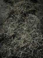 Rollen, Dieren en Toebehoren, Dierenvoeding, Ophalen, Vee