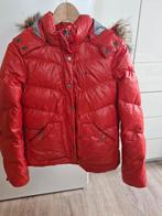 Tommy Hilfiger Winterjas, maat S, Kleding | Dames, Jassen | Winter, Ophalen of Verzenden, Maat 36 (S), Gedragen, Rood