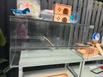 Terrarium 100 x 50 x 50 + hamsterscaping, Dieren en Toebehoren, Zo goed als nieuw, 75 tot 110 cm, Ophalen, Minder dan 60 cm