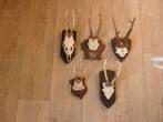 Te koop., Verzamelen, Dierenverzamelingen, Ophalen, Gebruikt, Hert, Beeldje of Figuurtje