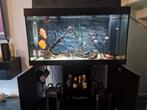 Nieuwe model juwel 350 aquarium tekoop, Dieren en Toebehoren, Vissen | Aquaria en Toebehoren, Ophalen, Zo goed als nieuw, Gevuld zoetwateraquarium