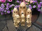 SylvaC * 6 delig SET * dog # chien # hond # * droevige ogen, Verzamelen, Ophalen of Verzenden, Dier