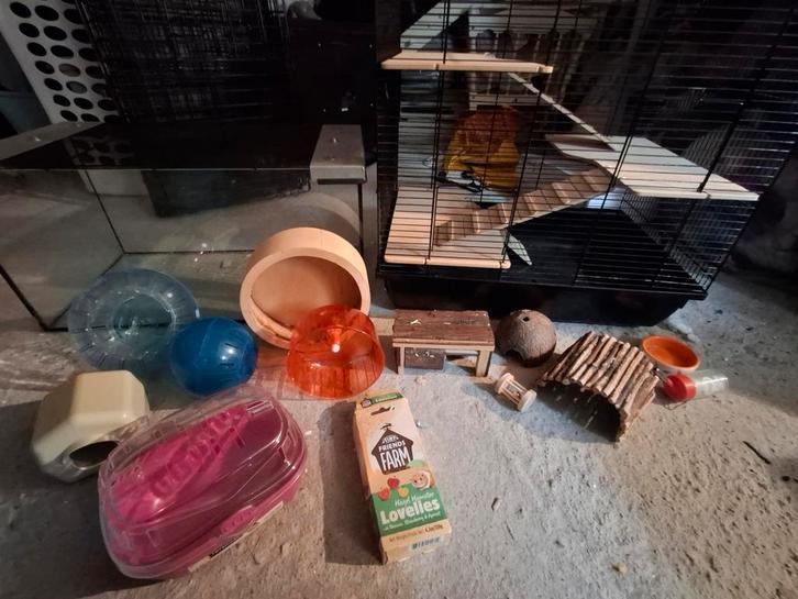 Hamster kooi 2 stuks inclusief spullen!, Dieren en Toebehoren, Knaagdieren, Hamster, December, Tam