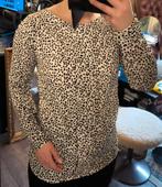 Nieuwe nette blouse, Kleding | Dames, Blouses en Tunieken, Wit, Nieuw, Ophalen of Verzenden, Maat 34 (XS) of kleiner