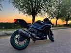 Kawasaki Ninja 300 A2 motor met ABS, Motoren, Motoren | Kawasaki, 2 cilinders, 300 cc, 12 t/m 35 kW, Sport
