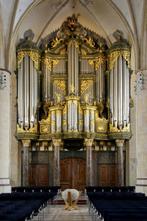 Martinikerk Groningen - Hauptwerk, Muziek en Instrumenten, Orgels, Ophalen, Zo goed als nieuw, 2 klavieren, Orgel