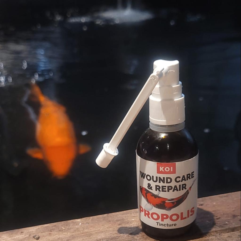 propolis, Karper of Koi