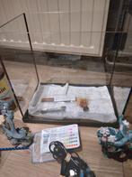 Te koop vis aquarium, Dieren en Toebehoren, Vissen | Aquaria en Toebehoren, Ophalen, Leeg aquarium
