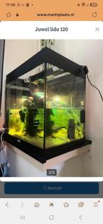 Aqarium Juwel Lido 120, Dieren en Toebehoren, Vissen | Aquaria en Toebehoren, Ophalen, Gebruikt, Leeg aquarium