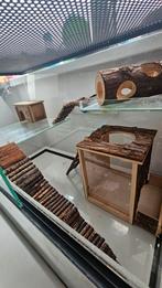 Glazen hamster terrarium, Dieren en Toebehoren, Knaagdieren en Konijnen | Hokken en Kooien, Minder dan 75 cm, Zo goed als nieuw
