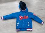 Borgvest Z8, Ophalen of Verzenden, Zo goed als nieuw, Jongen, Trui of Vest