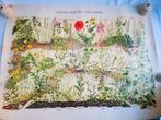 Vintage Schoolplaat botanisch Poster Waste Ground Weeds 1973, Antiek en Kunst, Antiek | Schoolplaten, Ophalen of Verzenden, Natuur en Biologie