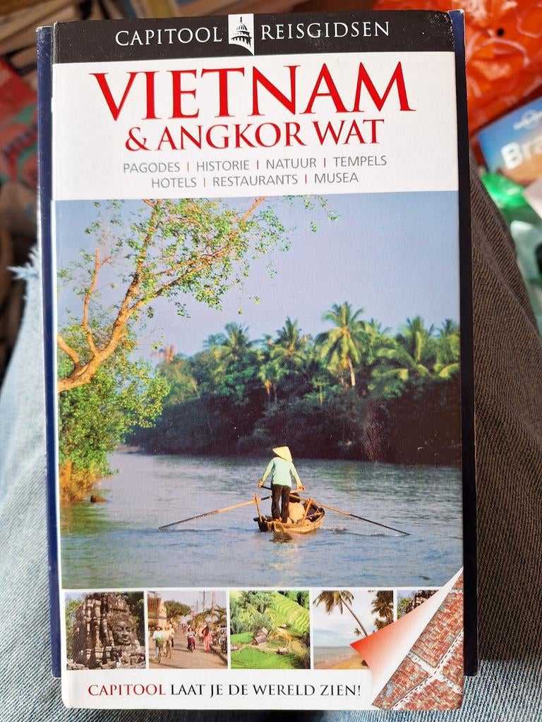 capitool reisgidsen vietnam ZGAN, Boeken, Capitool, Ophalen of Verzenden, Zo goed als nieuw, Reisgids of -boek