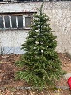 Kerstboom, Ophalen, Gebruikt, Binnen