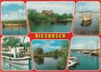 DE BIESBOSCH  Schepen Landschap Rondvaartboot, Ongelopen, Noord-Brabant, Verzenden, 1980 tot heden