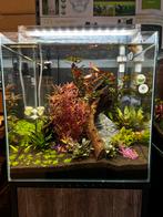 Aqua scape’s op locatie, Ophalen, Zo goed als nieuw, Leeg aquarium