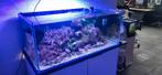 Zeeaquarium geheel compleet  115x60x50, Dieren en Toebehoren, Ophalen, Gebruikt, Gevuld zeewateraquarium