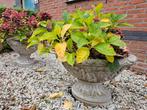 2 sierplanten bakken met planten, Tuin en Terras, Bloembakken en Plantenbakken, Gebruikt, Rond, Beton, Tuin