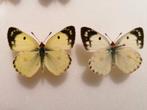 Gele luzernevlinder - Colias hyale, Ophalen of Verzenden, Nieuw, Beeldje of Figuurtje