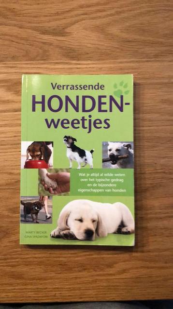 Hondenweetjes ( nieuw! ) beschikbaar voor biedingen