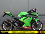 Kawasaki NINJA 300 ABS (bj 2014), 300 cc, Bedrijf, Sport