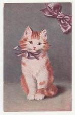 Poezen.  Poes met strik.   Cats., Ophalen of Verzenden, Voor 1920, Overige thema's