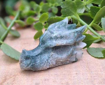 Mosagaat drakenschedel  beschikbaar voor biedingen