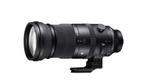 Sigma 150-600 Limburg België, Audio, Tv en Foto, Fotografie | Lenzen en Objectieven, Ophalen, Zo goed als nieuw, Telelens