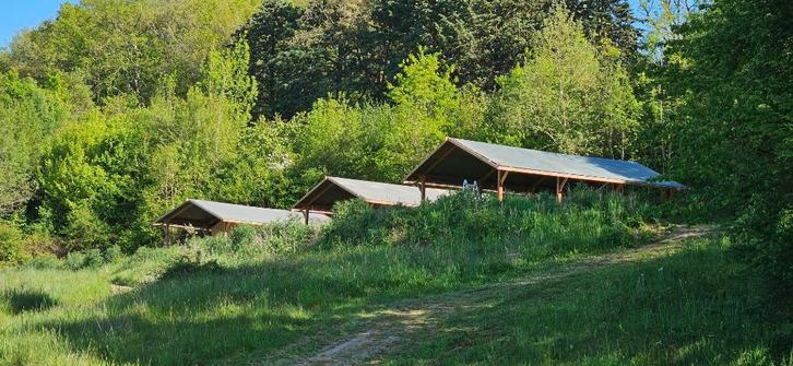 Samen een camping/glamping opzetten in Zuid-Frankrijk!, Vakantie, Campings, Landelijk, In bergen of heuvels, In bos, Afwasmachine