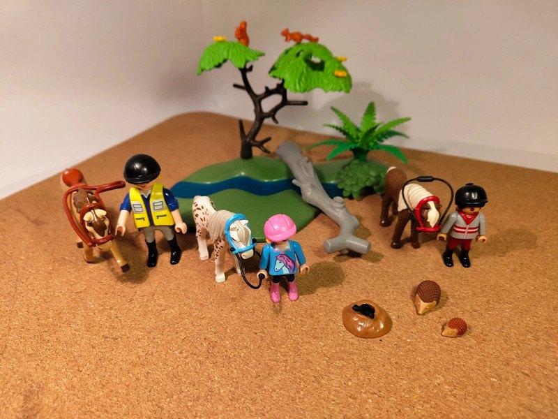Playmobil country 6947 – Ponyrijles, Kinderen en Baby's, Speelgoed | Playmobil, Ophalen of Verzenden, Gebruikt, Complete set