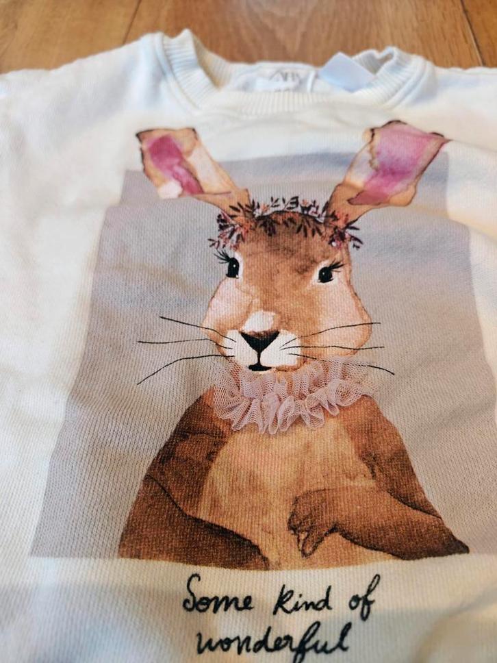 Leuke warme Zara trui maat 86 - Konijn, Kinderen en Baby's, Babykleding | Maat 86, Zo goed als nieuw, Meisje, Truitje of Vestje