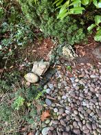 Tuinstenen vijverstenen  - ca. 20 stuks, Tuin en Terras, Grind, Keien en Split, Ophalen, Overige materialen, Gebruikt, Kei