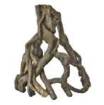 sf mangrove wortel l €34,95, Dieren en Toebehoren, Vissen | Aquaria en Toebehoren, Ophalen of Verzenden, Nieuw, Sierelement