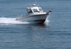 Grady White 7.20 mtr., Watersport en Boten, Ophalen, Gebruikt, Overige typen