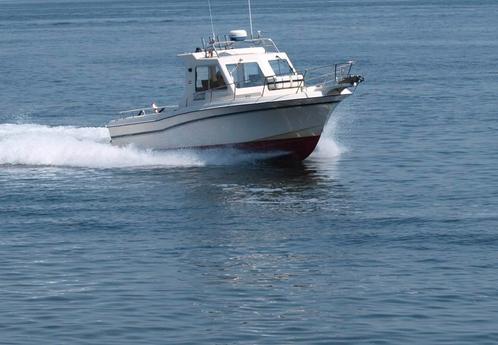 Grady White 7.20 mtr., Watersport en Boten, Hengelsport | Zeevissen, Gebruikt, Overige typen, Ophalen