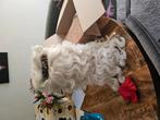 Baard sinterklaas, Ophalen of Verzenden, Gebruikt, Versiering, Carnaval