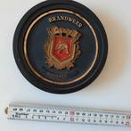 Brandweer SOMEREN, Ophalen of Verzenden, Nederland, Embleem of Badge