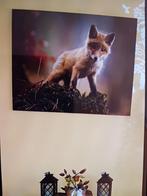 Vos canvas te koop, Ophalen, 50 tot 75 cm, Zo goed als nieuw, Schilderij