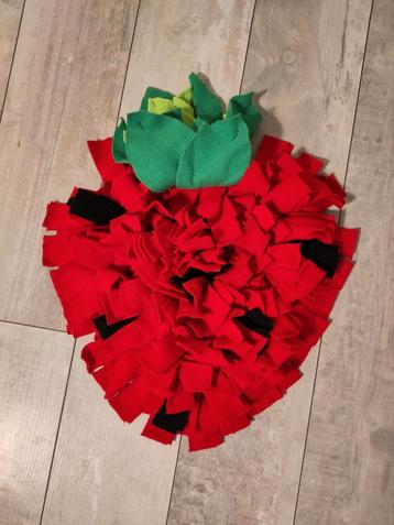 Snuffel matje aardbei knaagdier beschikbaar voor biedingen