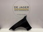 BMW 1 SERIE F20 F21 ZIJSCHERM VOORSCHERM SPATBORD LINKS, Auto-onderdelen, Ophalen of Verzenden, Nieuw, Links, BMW