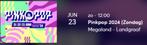 1x Ticket Pinkpop zondag 23 juni 2024, Tickets en Kaartjes, Concerten | Overige, Juni, Eén persoon