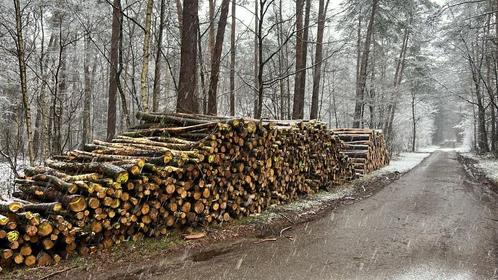 Rondhout - brandhout - mix, Tuin en Terras, Haardhout, Stammen, Overige houtsoorten, 6 m³ of meer, Ophalen of Verzenden