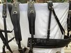 Tweespan borsttuig  zwart.Leer.   Full, Dieren en Toebehoren, Paarden en Pony's | Hoofdstellen en Tuigage, Ophalen of Verzenden
